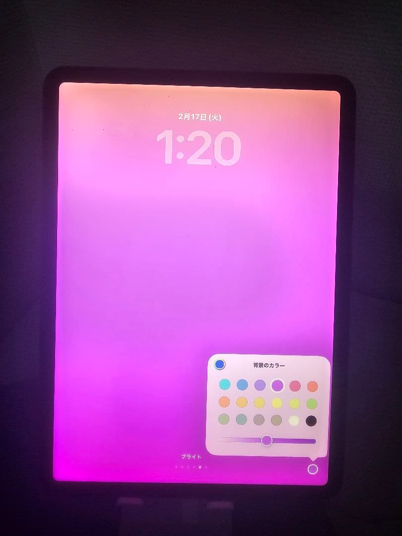 iPad Pro 11インチ 第2世代 Magic Keyboard付 充電器付
