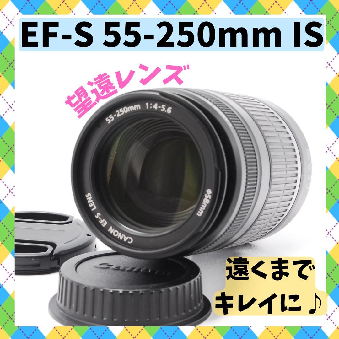【遠くもクッキリ】Canon EF-S 55-250mm IS 手ブレ補正付き⭐️