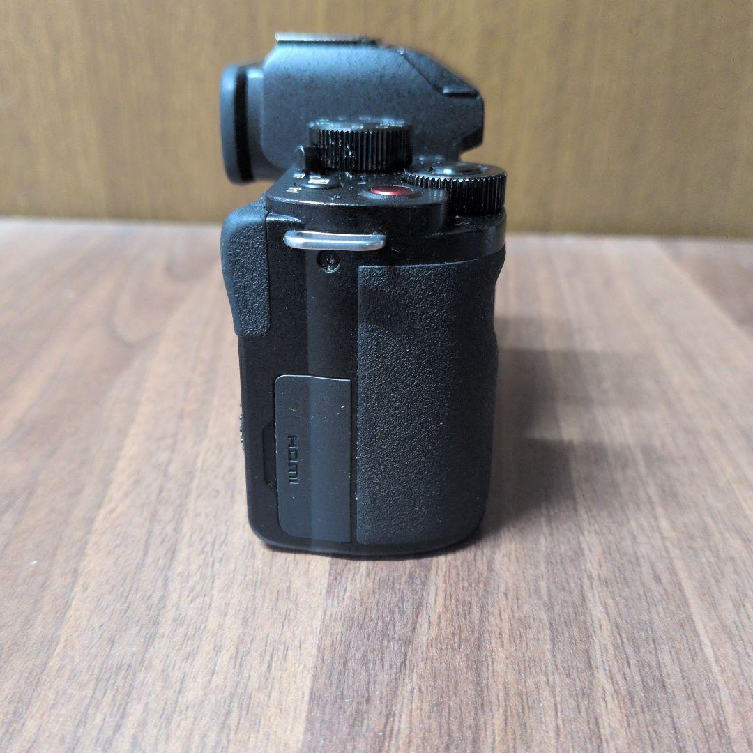 フ*ス様 LUMIX G100ミラーレス一眼 デジタルカメラ
