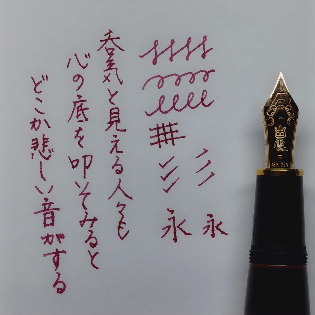 【美品】プラチナ万年筆 出雲 溜塗赤溜 F(出雲ニブ)