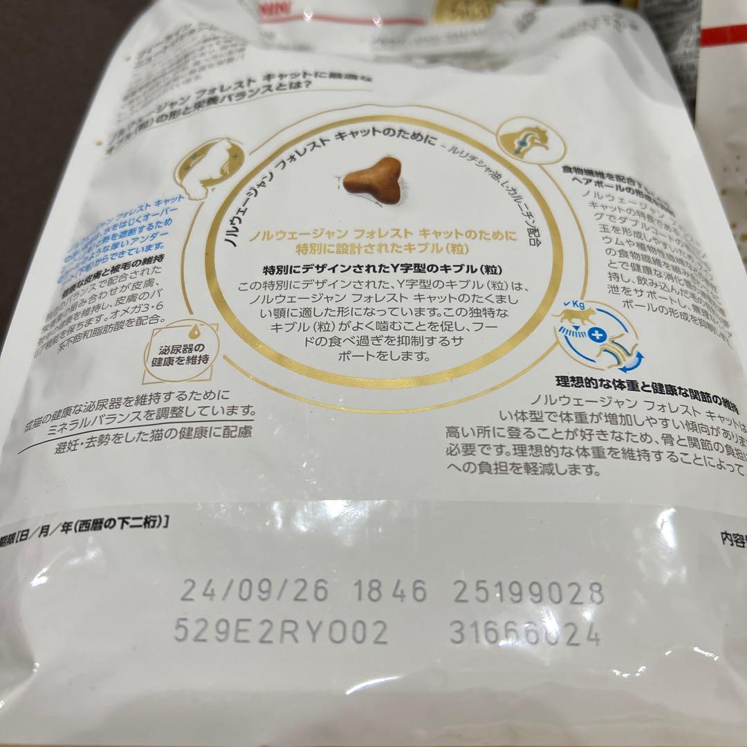  CANIN ノルウェージャンフォレストキャット 2kg 2袋セット
