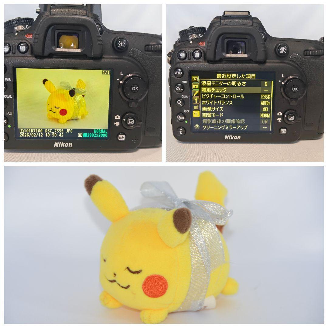 ❤即購入1000円OFF❤ ニコン D7100 高倍率レンズ 手振れ補正付き