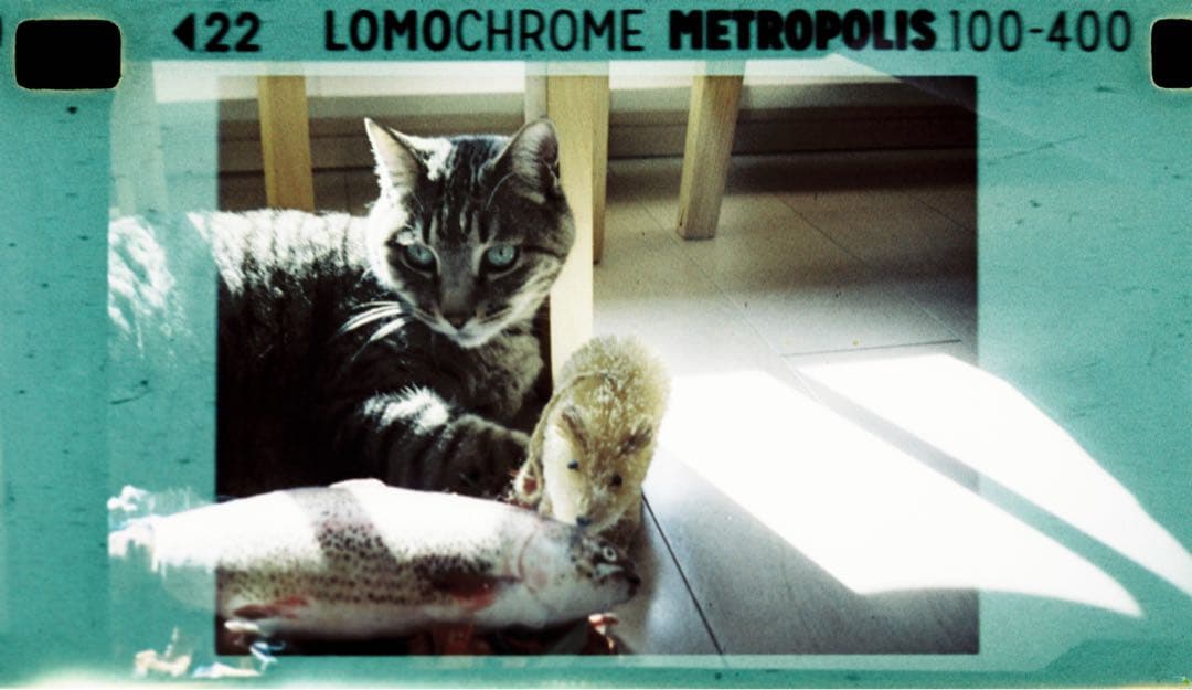 Lomomatic 110 Nocturne +純正レザーストラップ