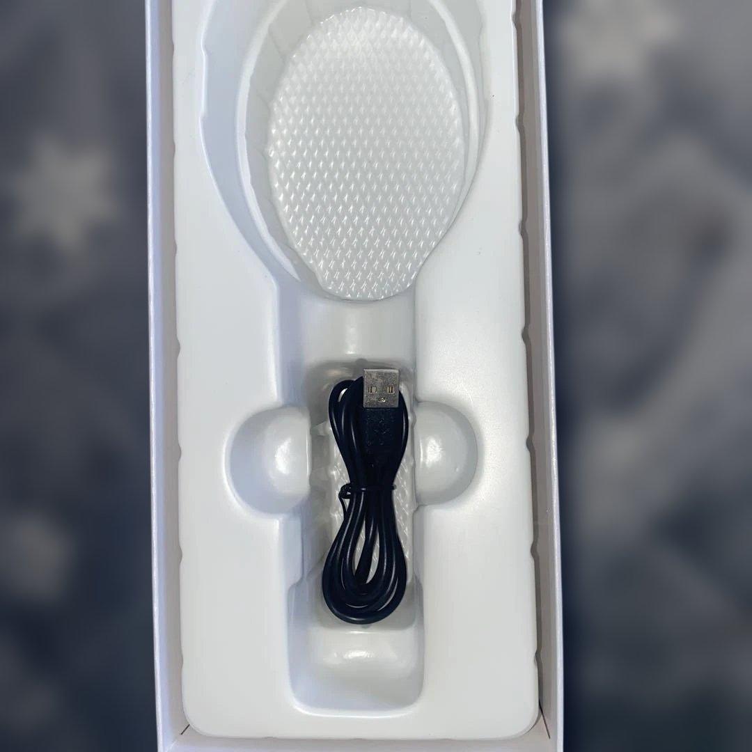 NIPLUX EMS LIFT BRUSH 美顔器