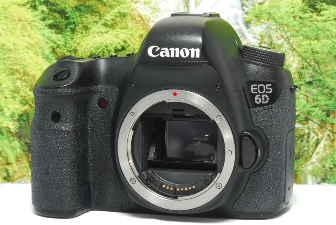✨月明りの暗闇でも撮影ができる✨Canon EOS 6D✨フルサイズ機✨動画OK