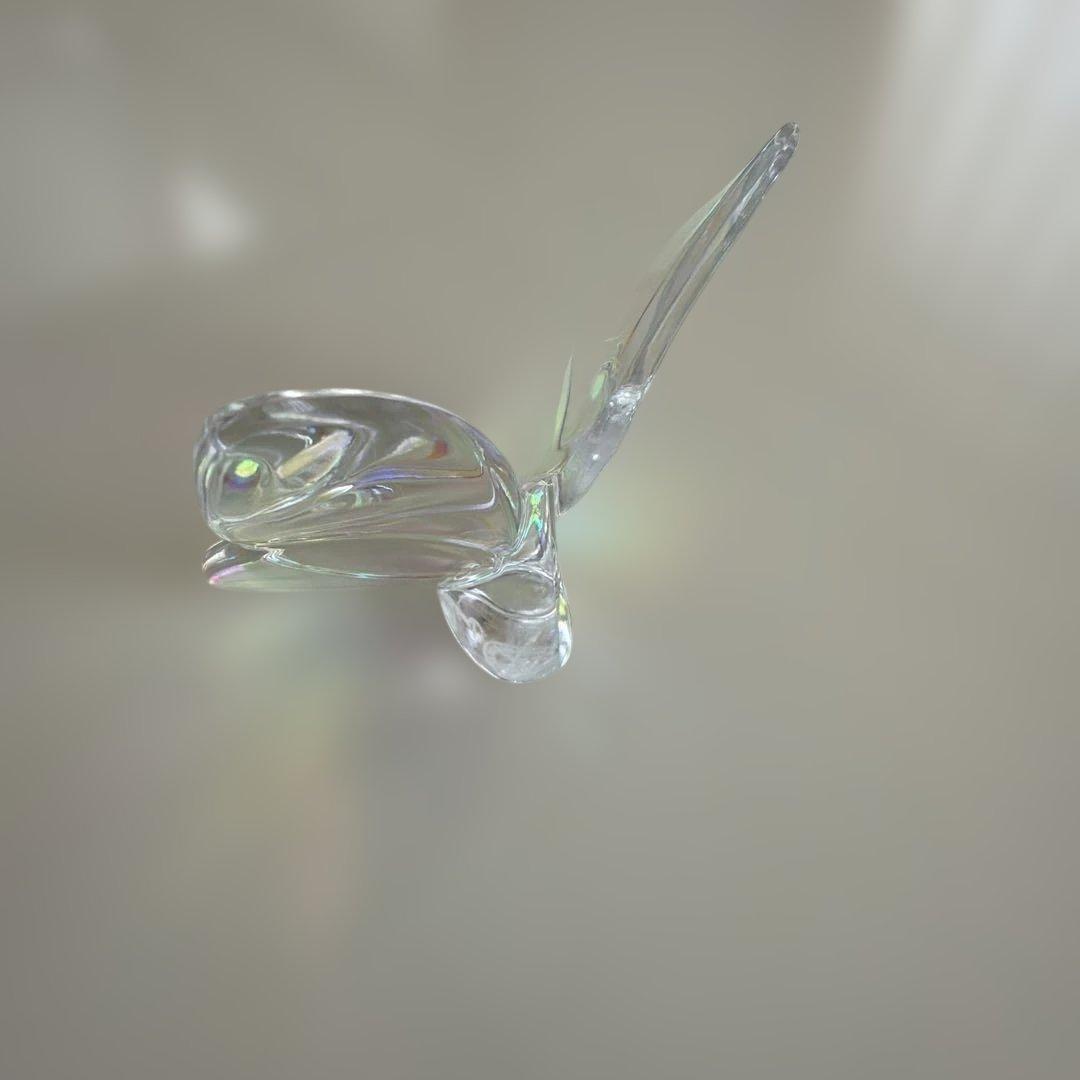 Baccarat（バカラ） ラッキーバタフライ　イリゼクリア