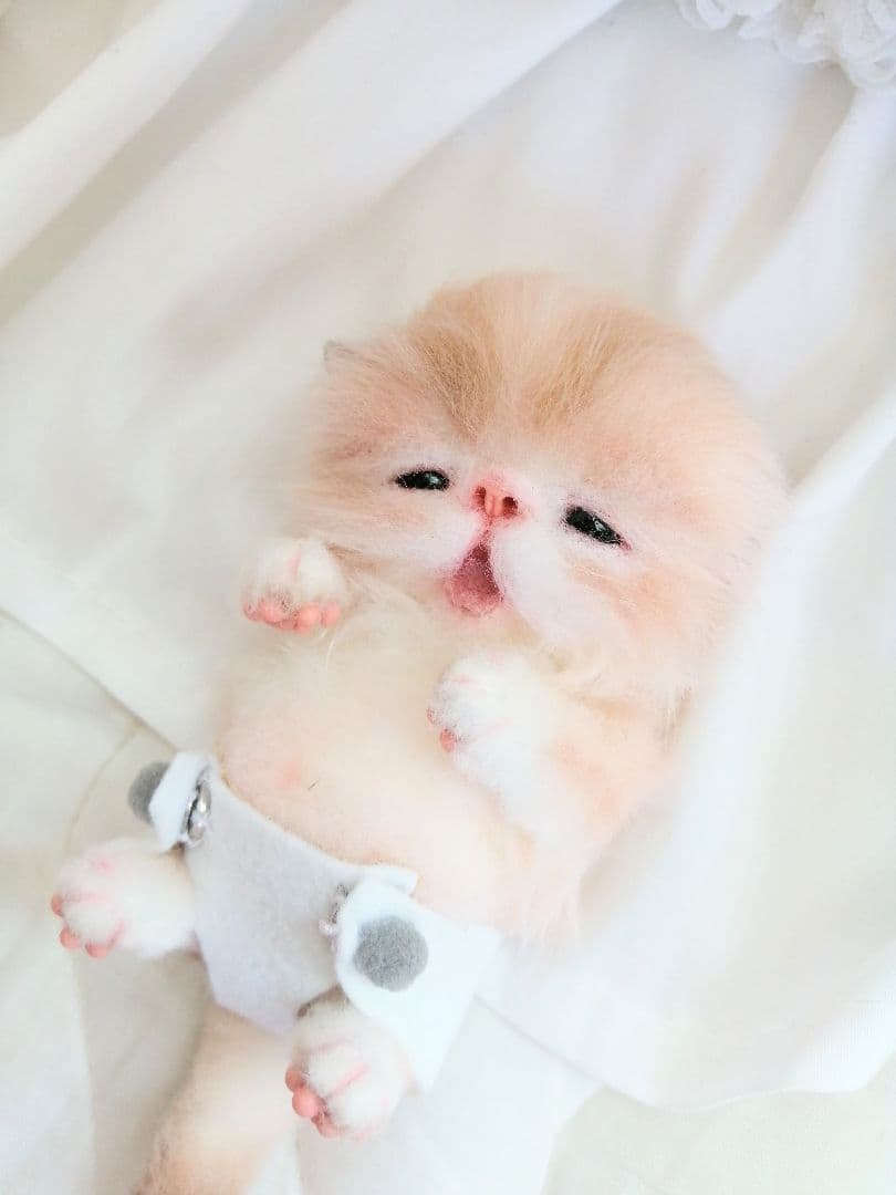 おむつ♡お腹ぽっこり子猫ちゃん♡アートドール♡ぬいぐるみ♡ベビー♡