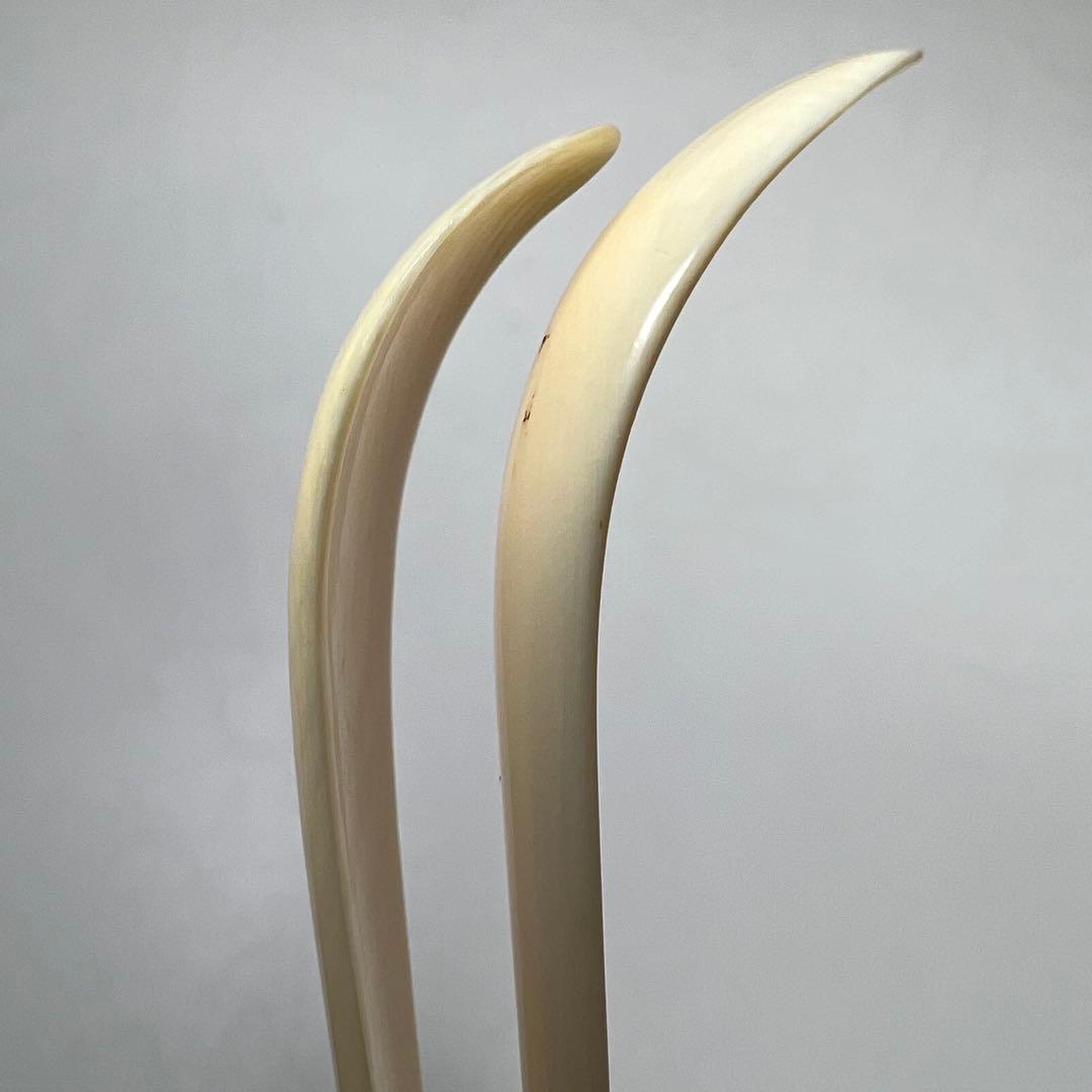 極上　茶杓　2本　ケース付　8g 東K8-0320☆2F