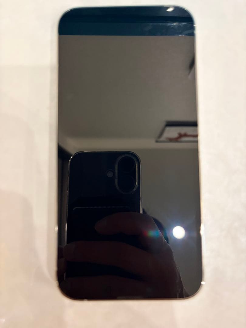 Apple iPhone 13 Pro シルバー 256GB本体