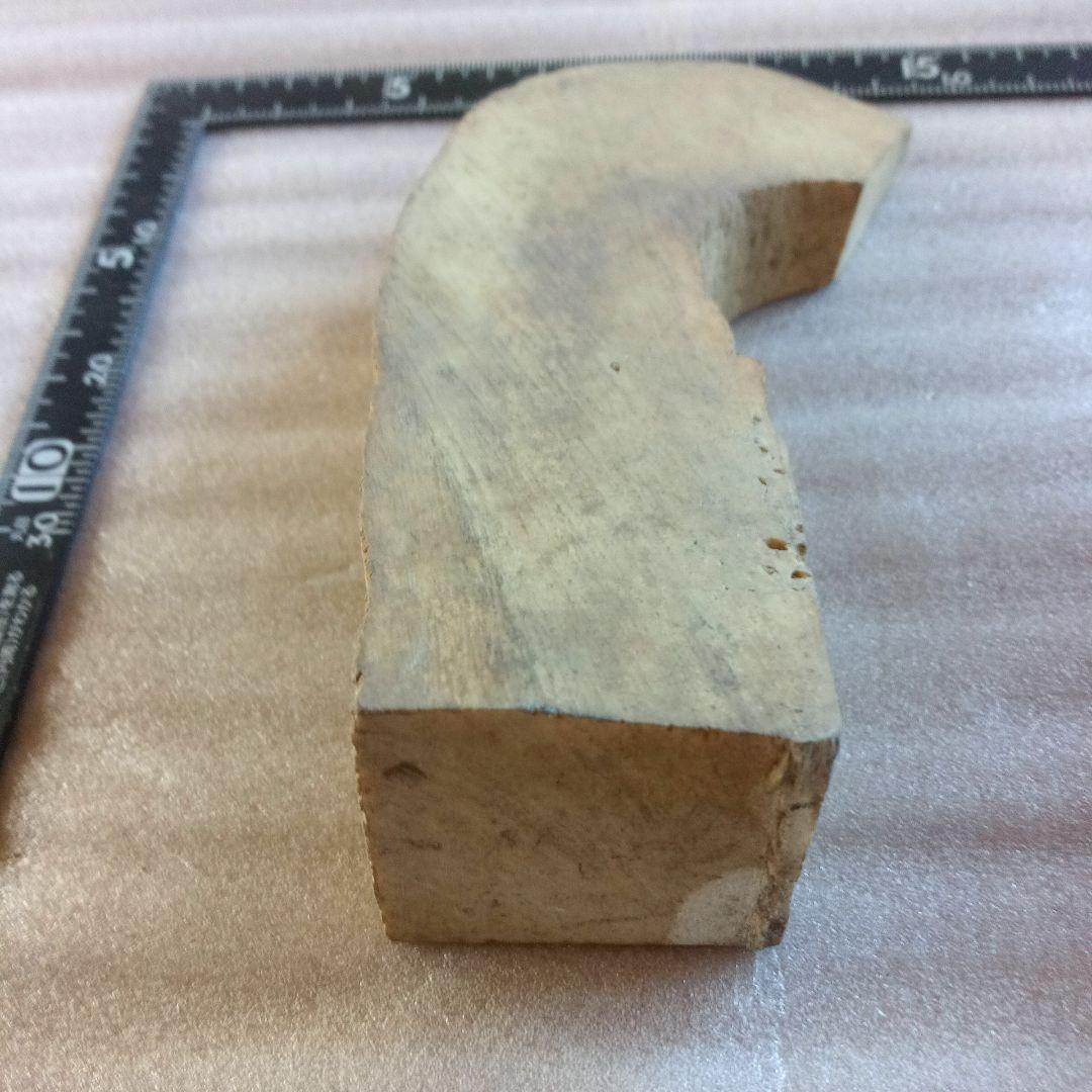 鯨骨
