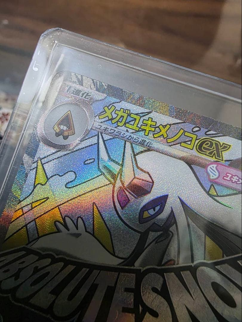 サ*カ様 メガユキメノコex MA 中国語エラー